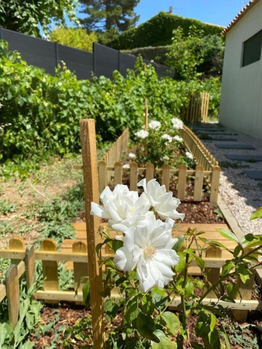 וונל Maison, Jardin, Piscine Parking Pres D'Aix Centre מראה חיצוני תמונה