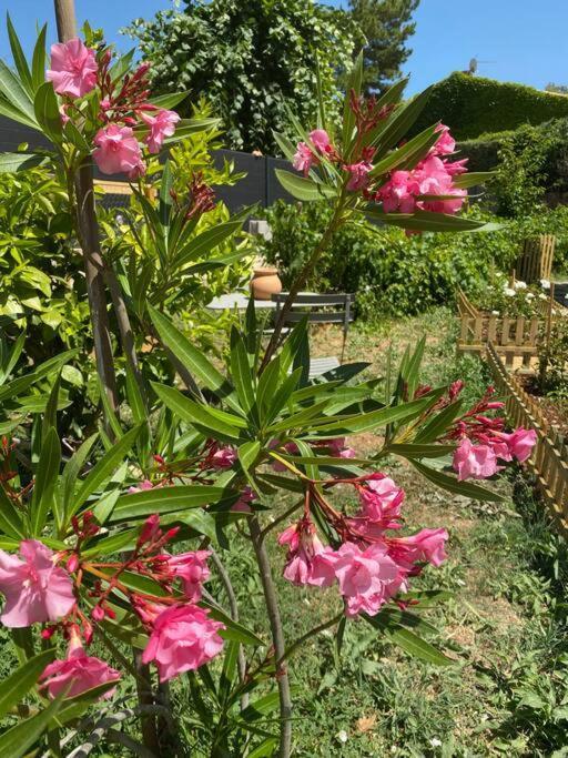 וונל Maison, Jardin, Piscine Parking Pres D'Aix Centre מראה חיצוני תמונה
